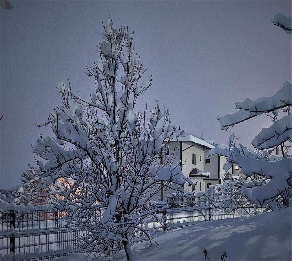 Pinerose Resort Bansko Bagian luar foto