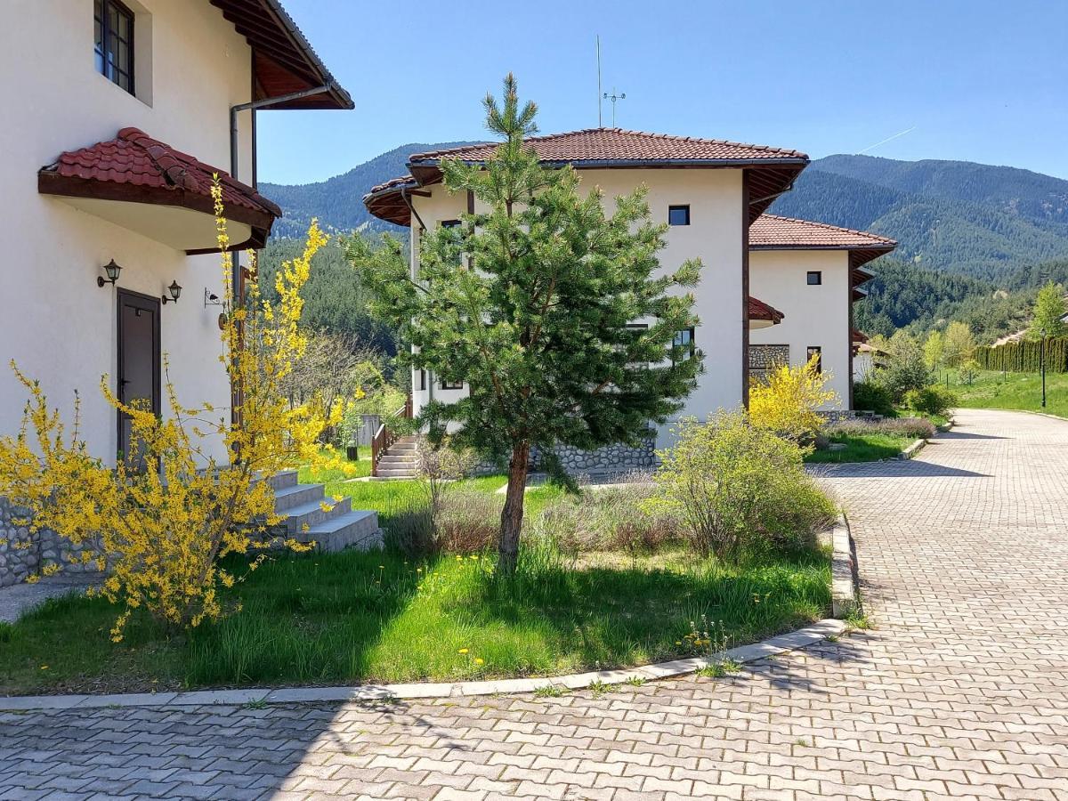 Pinerose Resort Bansko Bagian luar foto