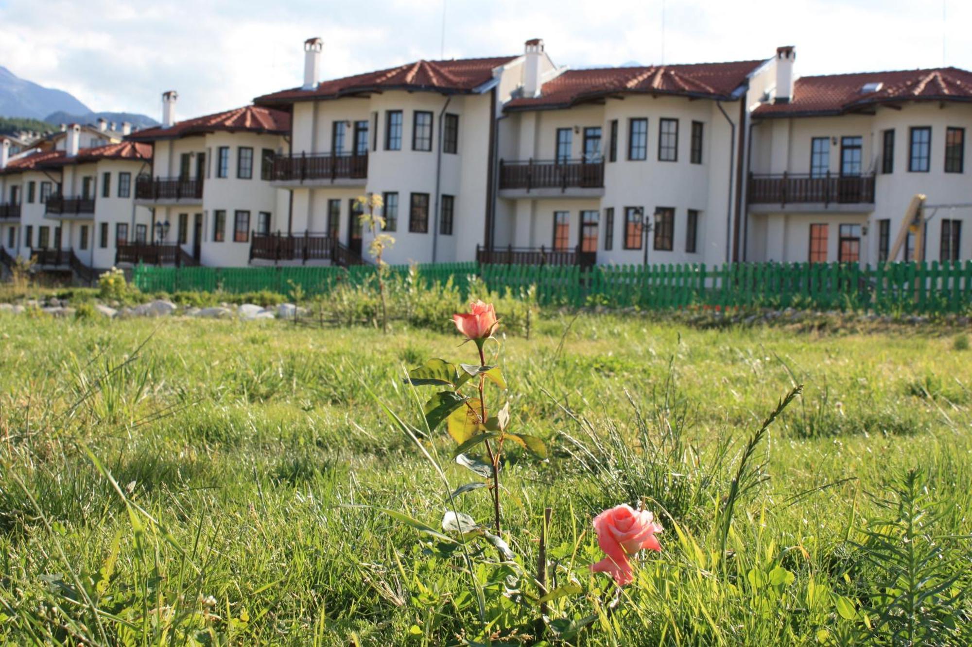 Pinerose Resort Bansko Bagian luar foto