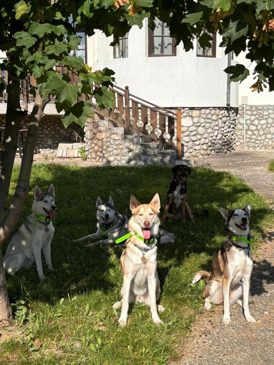Pinerose Resort Bansko Bagian luar foto