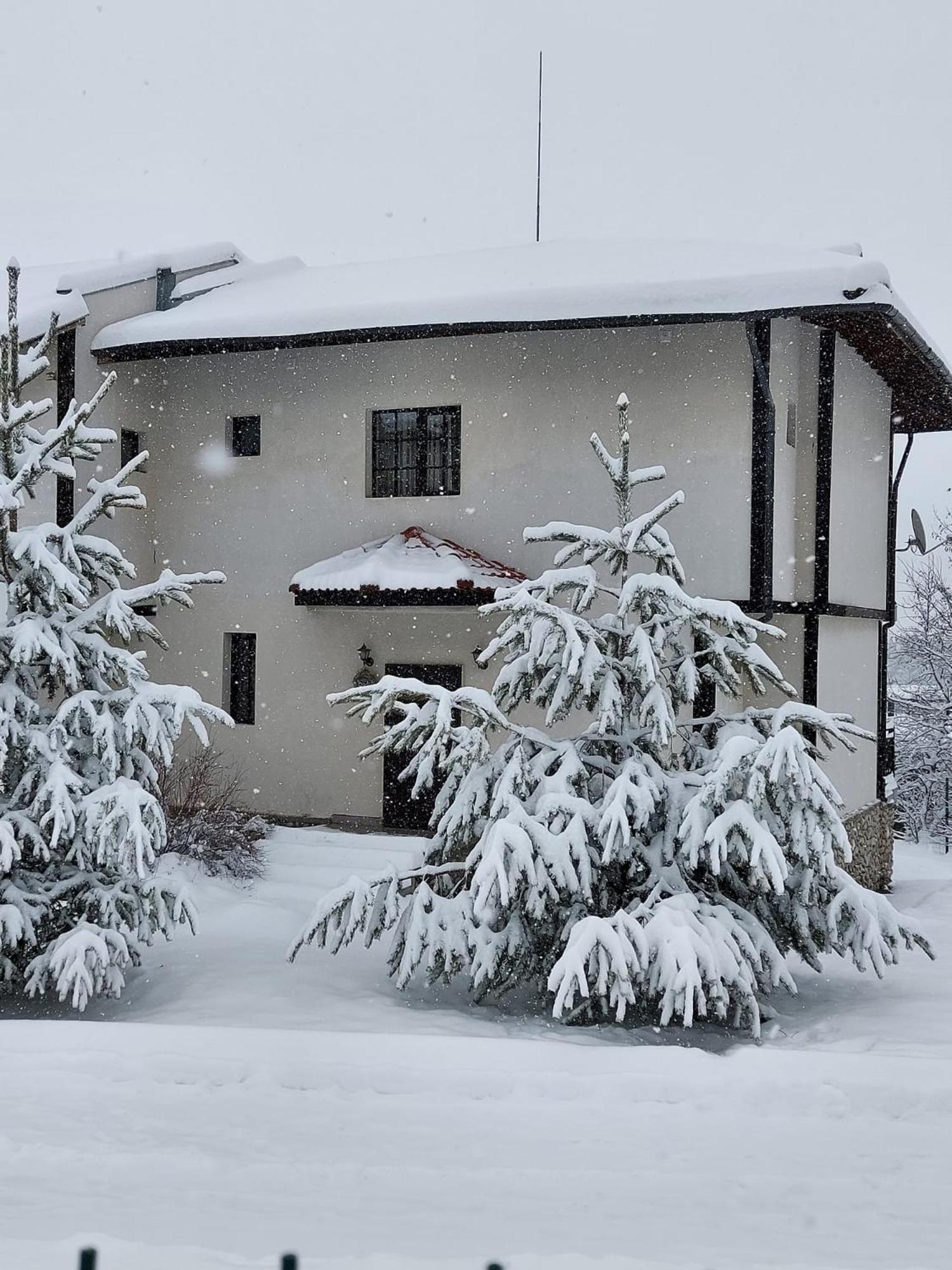 Pinerose Resort Bansko Bagian luar foto